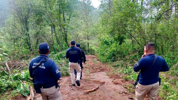 Reportan el hallazgo de restos óseos de cinco personas en un cerro