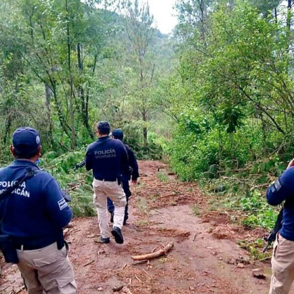 Reportan el hallazgo de restos óseos de cinco personas en un cerro