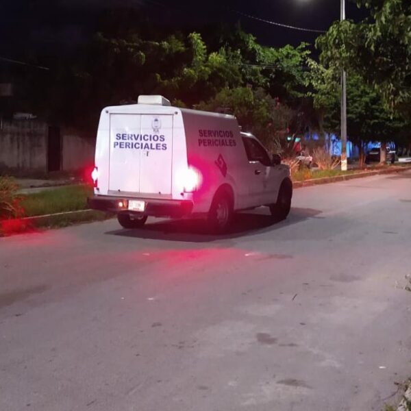 Cancún: Hallan a un hombre ejecutado en un área verde de la Región 215.