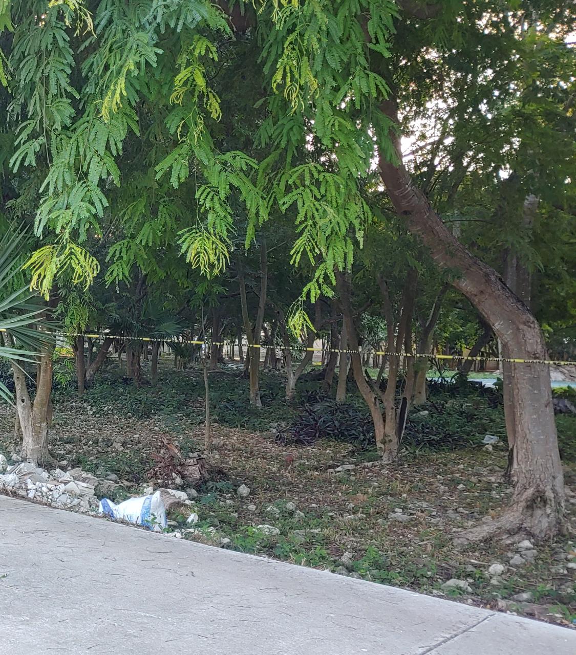 Cancún: Hallan a un hombre ejecutado en un área verde de la Región 215; al parecer se trata de un extorsionador, de acuerdo con un narcomensaje.