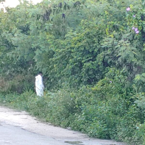 Cancún: Hallan cadáver embolsado en la Supermanzana 225.