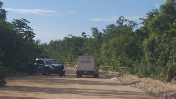 Cancún: Hallan cadáver ensabando en el fraccionamiento Paseos Kusamil.