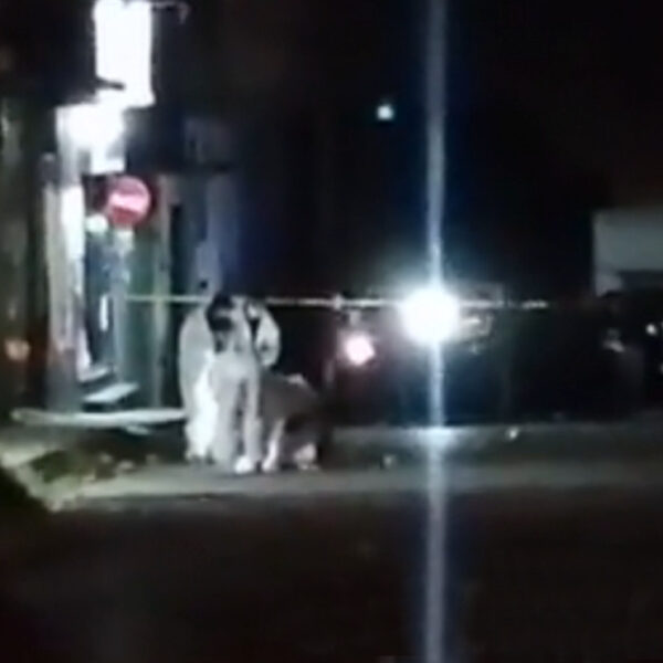 Sicarios ejecutan a cuatro personas en negocio de Morelos