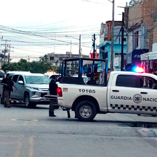 Cancún: Autoridades federales practican cateo en la zona del "Crucero"