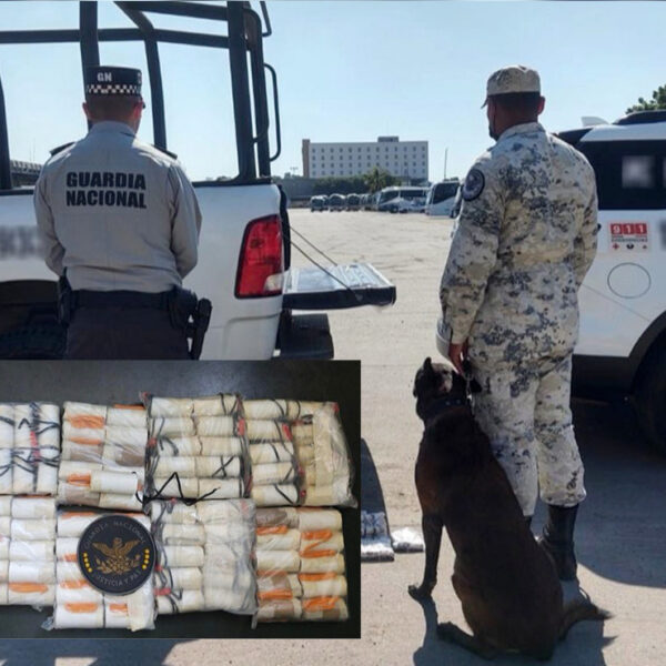 Descubre Guardia Nacional cargamento de explosivos en Sinaloa