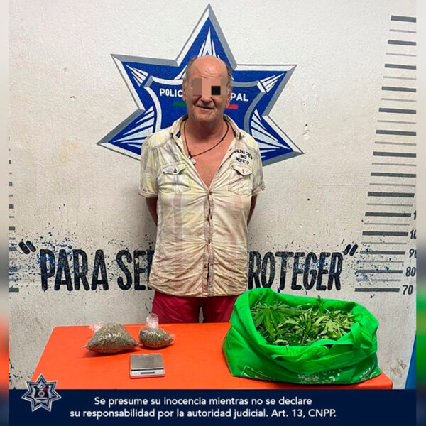 Detienen a extranjero con plantas de mariguana en Playa Del Carmen