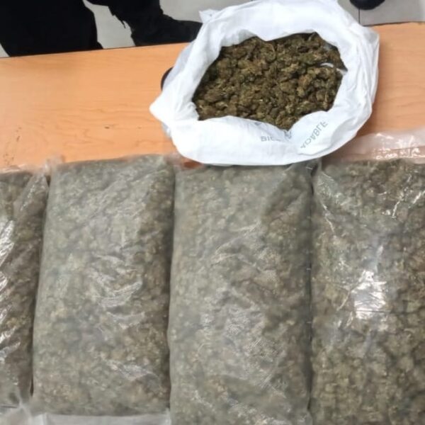 Playa del Carmen: Decomisan en la Ejidal marihuana embolsada.