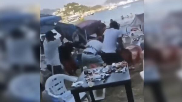 Video: Turistas y meseros protagonizan batalla campal en Acapulco