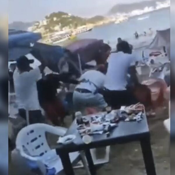 Video: Turistas y meseros protagonizan batalla campal en Acapulco