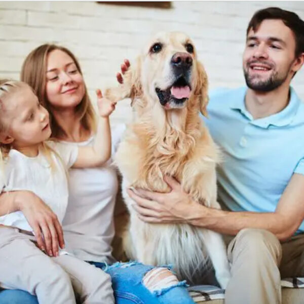 Llevan a su mascota a estética canina y se lo regresan sin vida
