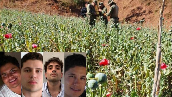 Trabajo conjunto capturaría a “Los Chapitos”; Ovidio, un asesino: DEA