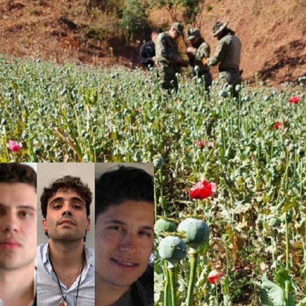 Trabajo conjunto capturaría a “Los Chapitos”; Ovidio, un asesino: DEA