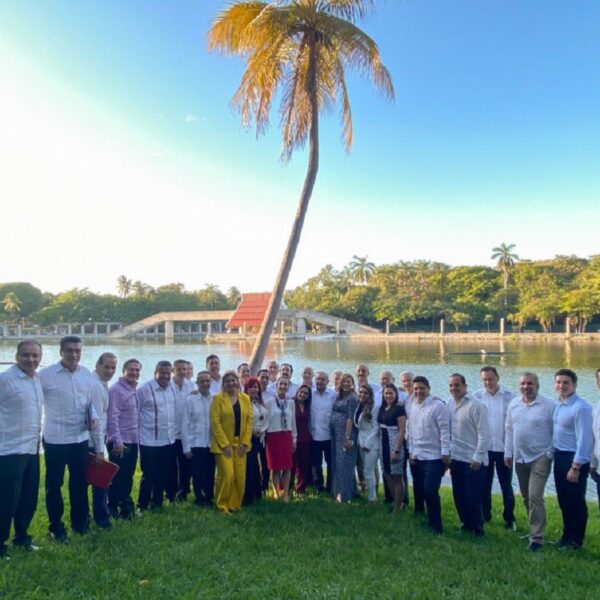 “Vida, pasión y muerte” de la Alianza Federalista; PAN “da el tiro de gracia”