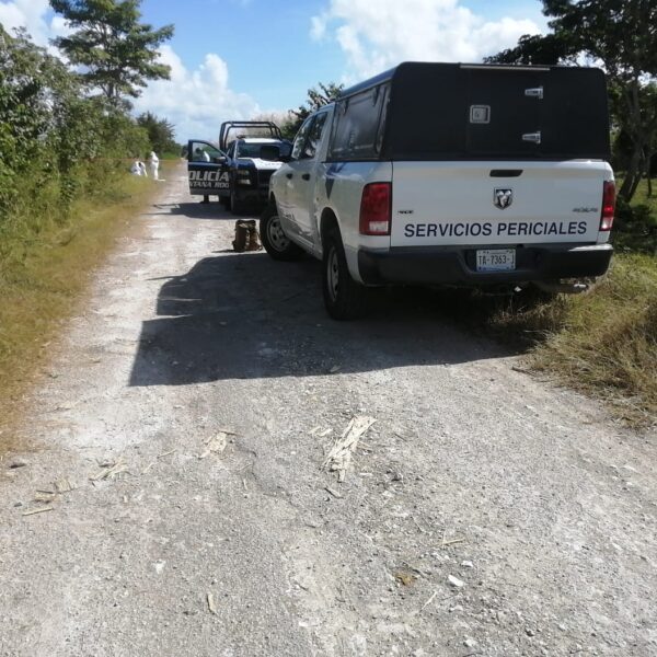 Descubren el cuerpo de una persona ejecutada entre la maleza en Chetumal