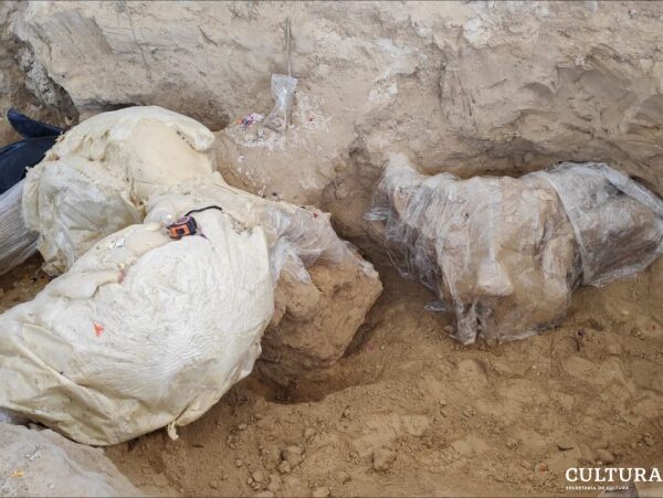 Confirman hallazgo de restos de mamut de hace 10 mil años.