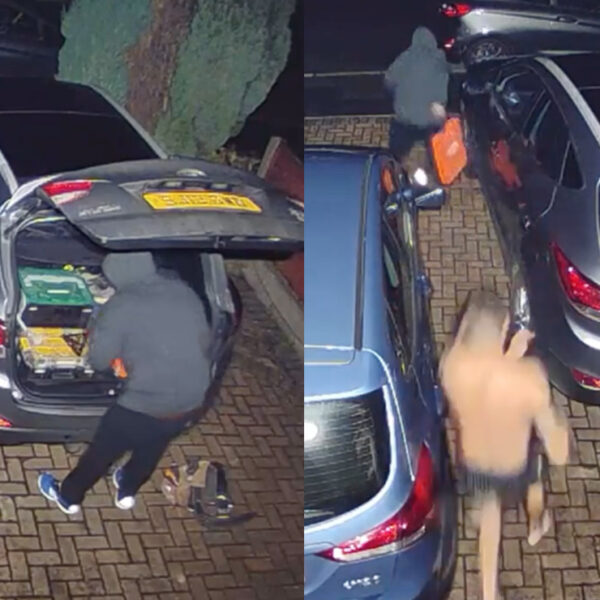 Video: Maestro de Kickboxing "en calzones" amedrenta a ladrón