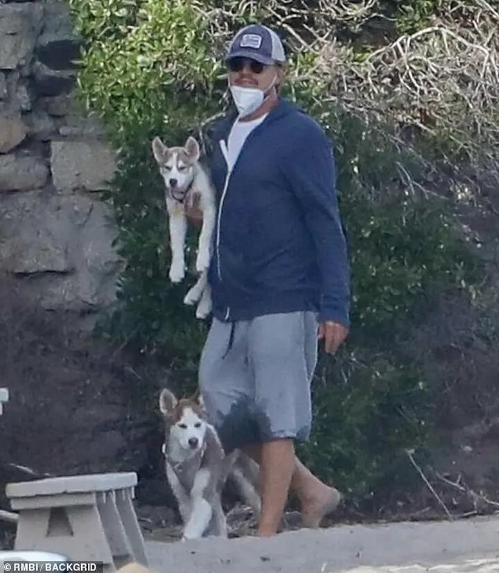 Leonardo DiCaprio lleva a sus perros al set de grabación y acaban en lago congelado