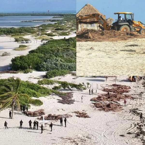 Video: En aparatoso operativo, "liberan" policías y militares playas de Isla Blanca