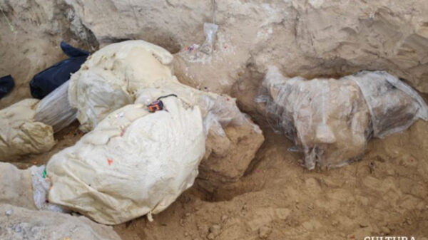 Encuentra el INAH restos de mamut en un panteón de Puebla