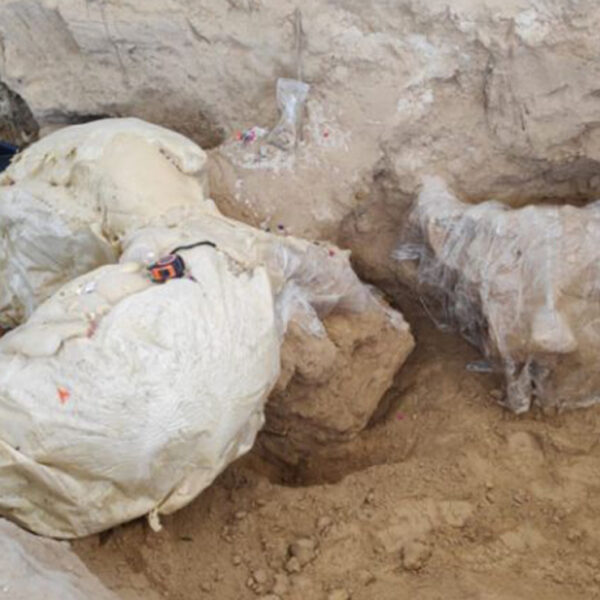 Encuentra el INAH restos de mamut en un panteón de Puebla