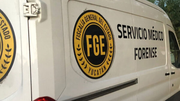 Menor de un año se ahoga en una piscina inflable