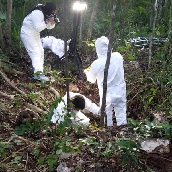 Confirma el Ejército Mexicano narcofosa en SM 242 de Cancún