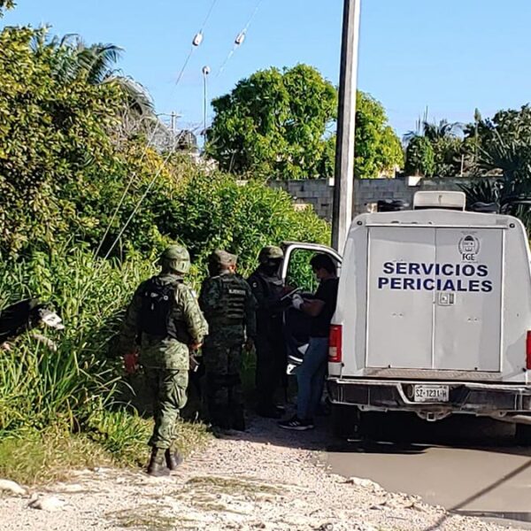 Detecta Ejército Mexicano presunta narcofosa en la SM 242 de Cancún