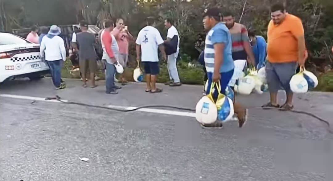Campeche: Rapiñan 40 toneladas de pavos congelados en tráiler volcado; a los habitantes de Punta Xen les “cayó del cielo” la cena de Navidad y Año Nuevo.