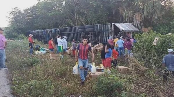 Campeche: Rapiñan 40 toneladas de pavos congelados en tráiler volcado.