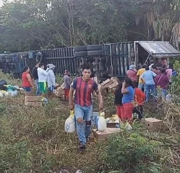 Campeche: Rapiñan 40 toneladas de pavos congelados en tráiler volcado.