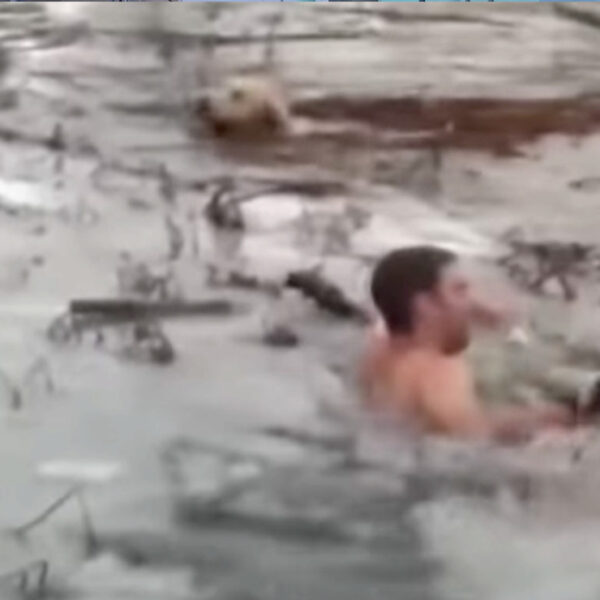 Video: Policías rescatan a perrito de lago helado