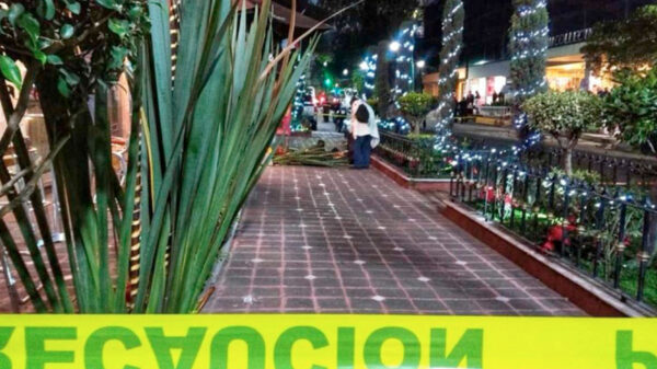 Se lanza de un quinto piso de un hotel y muere