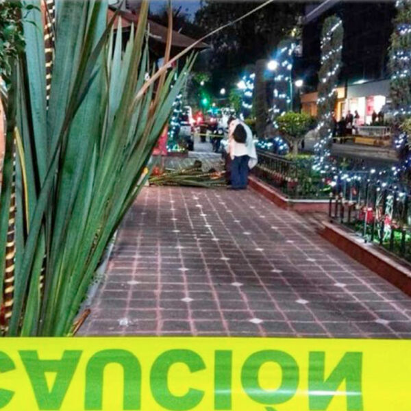 Se lanza de un quinto piso de un hotel y muere