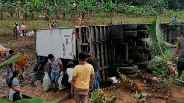 Se llevan los pollos para la cena navideña, tras volcarse tráiler