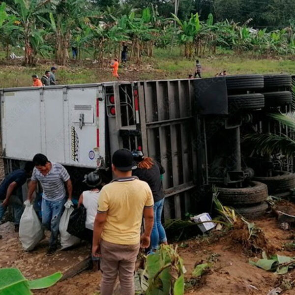 Se llevan los pollos para la cena navideña, tras volcarse tráiler