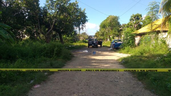 Hallan un ejecutado en área verde de la Región 227 de Cancún.