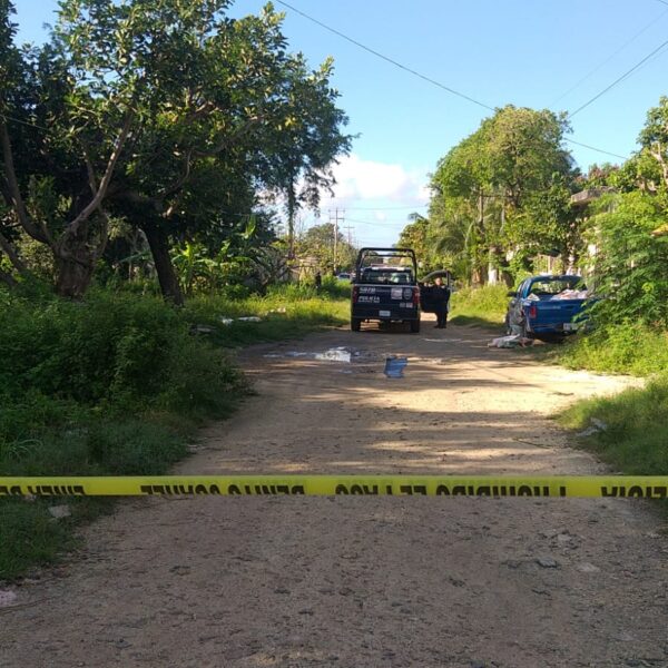 Hallan un ejecutado en área verde de la Región 227 de Cancún.