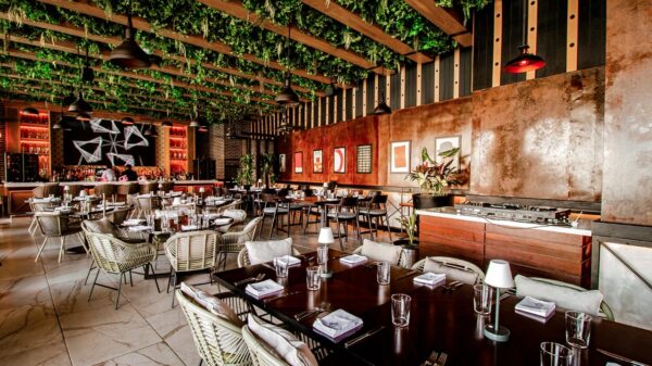 ¡Disfruta del nuevo estilo de CAO!