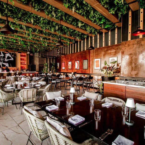 ¡Disfruta del nuevo estilo de CAO!