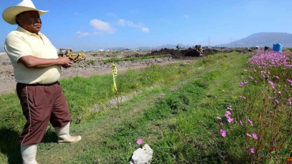 Requisitos para comprar un terreno con tu crédito Infonavit