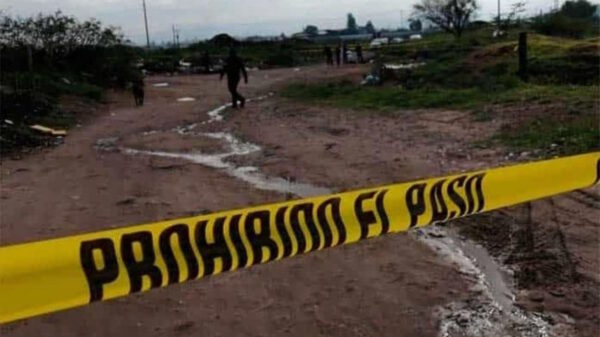 Encuentran varios cuerpos descuartizados en una zona rural