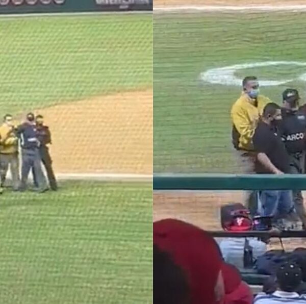 Umpire es detenido en pleno juego (video)