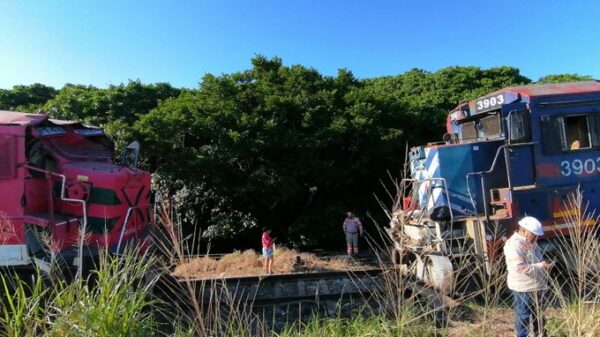 Chocan dos trenes cerca del puente Coatzacoalcos I.