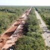 Expropia Sedatu 198 terrenos en Quintana Roo para construir el Tren Maya.