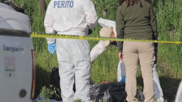 Encuentran restos de dos cuerpos dentro de bolsas negras