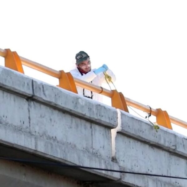 Dejan colgados dos cuerpos en un puente carretero