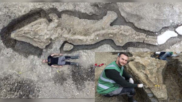 Descubren restos de enorme dragón marino en Reino Unido