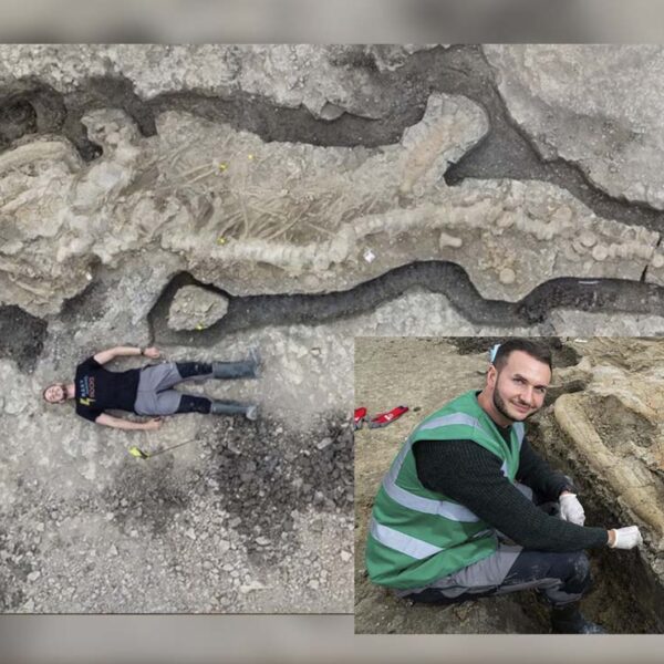 Descubren restos de enorme dragón marino en Reino Unido