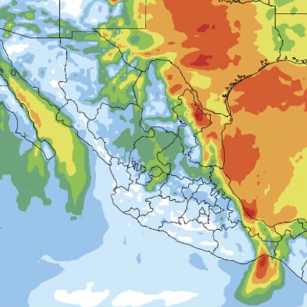 Seguirá el frío, esta noche ingresa el frente frío número 22