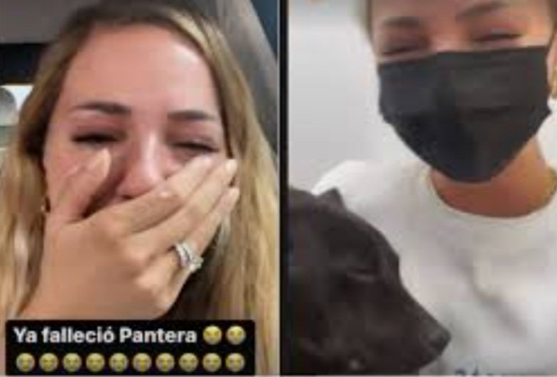 Mariana Rodríguez, feliz por la muerte de un pez marlín y en la memoria colectiva aún permanece el recuerdo de cómo lloraba hace 4 meses por la muerte de una perrita... puro teatro.